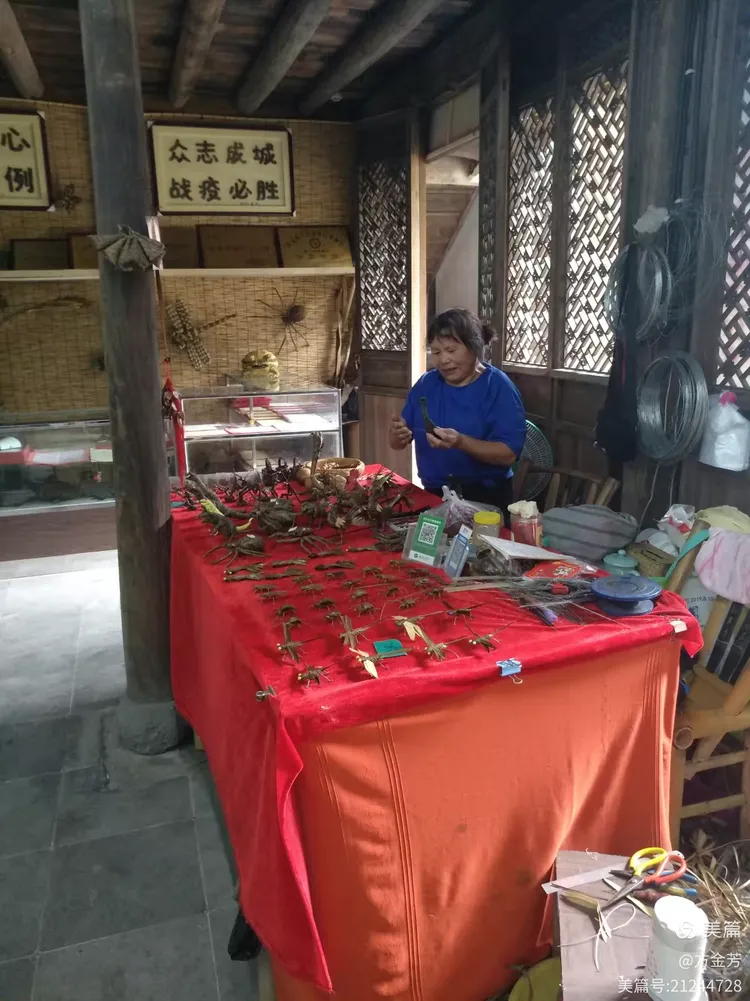 武义县域体验游